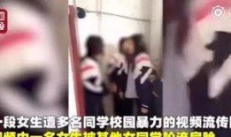 河南省女孩爆料事件视频,揭开校园霸凌背后的真相